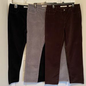 Bundle of Jones New York Lexington Straight corduroy pants